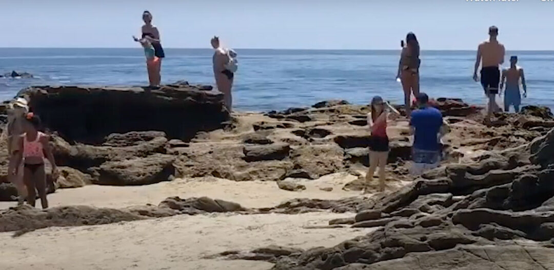 Keep Laguna Beach Beautiful