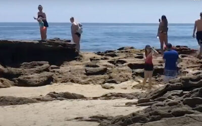 Keep Laguna Beach Beautiful